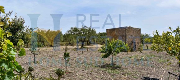 5 rooms Villa in Noto, Italy No. 142984 28