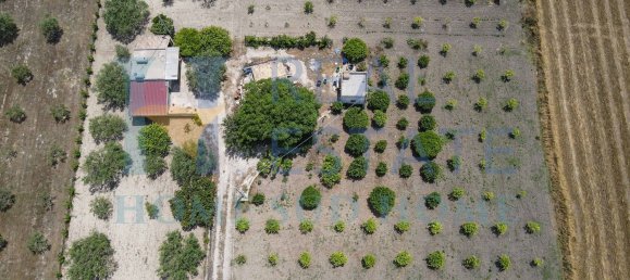 5 rooms Villa in Noto, Italy No. 142984 12