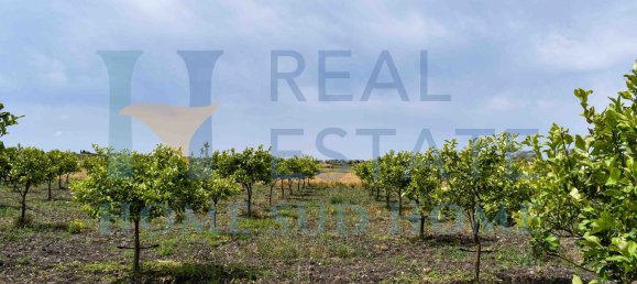 5 rooms Villa in Noto, Italy No. 142984 22