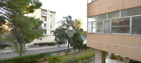 3 rooms Apartment in Cagliari, Italy No. 2010 15