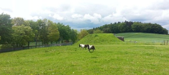 1 bedroom House in Hersfeld-Rotenburg, Germany No. 206635 10