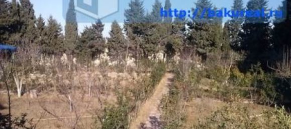 6 Schlafzimmer Haus in Sabuntschu, Azerbaijan, Nr. 249 13