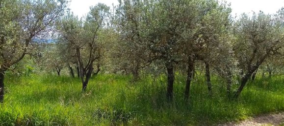 2714m² Land in Arezzo, Italy No. 324103 7