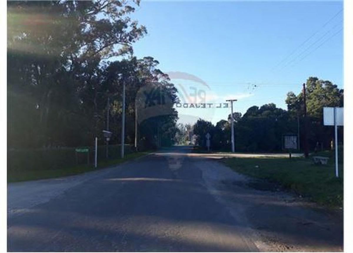 Terreno en Mar del Plata, Argentina No. 114499