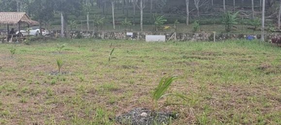 Commercial property in Phuket, Thailand No. 13979 4