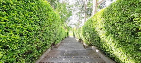 4 chambres Café / restaurant à Pattaya, Thailand No. 1274 14