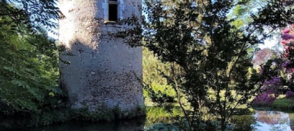 Castelos T3 em Romorantin-Lanthenay, France N.º 73613 6