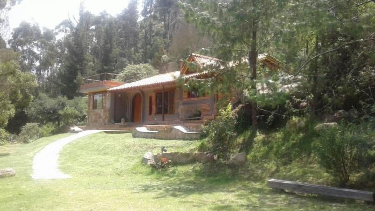 Studio in Cundinamarca, Colombia, Nr. 4887