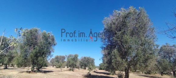 6 غرف نوم منزل في Ceglie Messapica, Italy رقم 340754 17