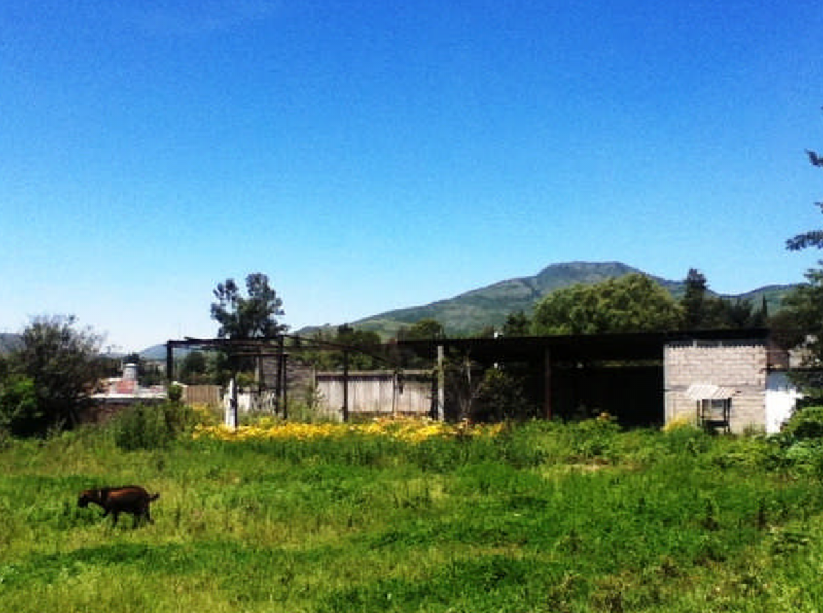 Grundstück in Polotitlan de la Ilustracion, Mexico, Nr. 206177