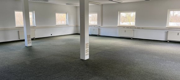 Коммерческая недвижимость 975м² в Донау-Рис, Германия № 180737 11