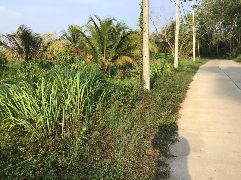 6240m² Property in Khok Kloi, Thailand No. 8222