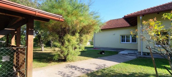 3-salle Propriété commerciale à St. Egyden am Steinfeld, Austria No. 83191 3