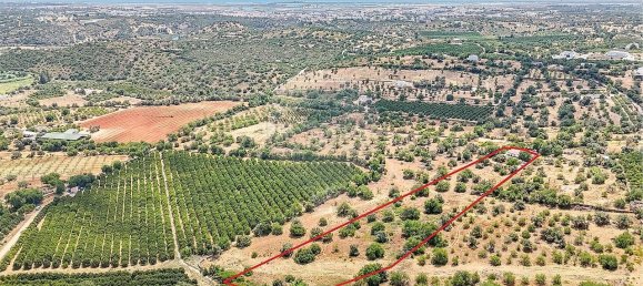 3 Schlafzimmer Haus in Tavira, Portugal, Nr. 284258 20