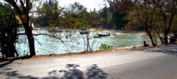 98831m² Commercial property in Ban Ratsada, Thailand No. 12327 5