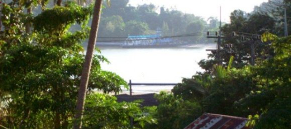 98831m² Commercial property in Ban Ratsada, Thailand No. 12327 7