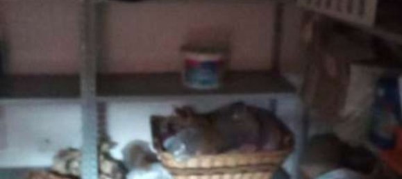 9 rooms Apartment in Latina, Italy No. 213095 3