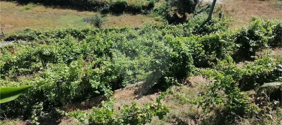 Grundstück in Ponte da Barca, Portugal 2800m², Nr. 58523 8