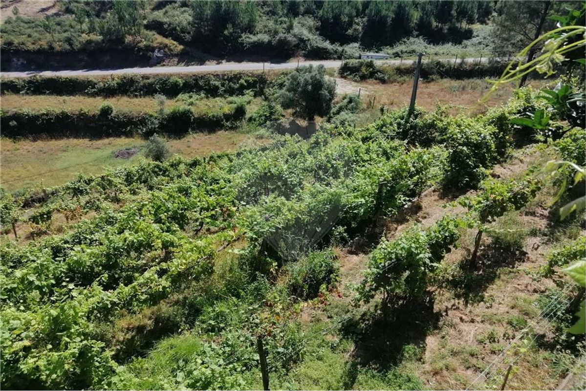 Grundstück in Ponte da Barca, Portugal 2800m², Nr. 58523