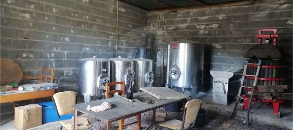 Grundstück in Ponte da Barca, Portugal 2800m², Nr. 58523 6