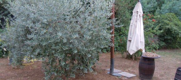 14غرفة منزل في Castelnuovo di Porto, Italy رقم 14561 19