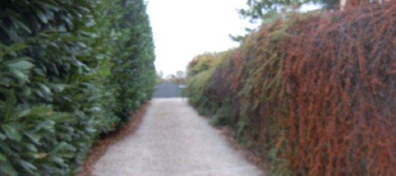 14غرفة منزل في Castelnuovo di Porto, Italy رقم 14561 48