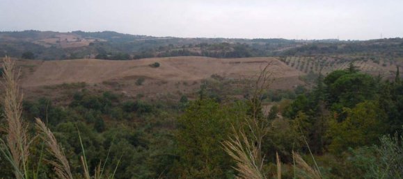 14غرفة منزل في Castelnuovo di Porto, Italy رقم 14561 47