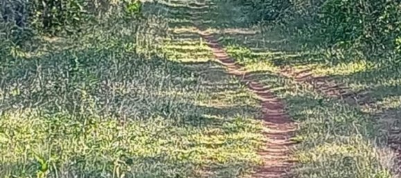 Terrain à La Cruz, Costa Rica No. 1582 5