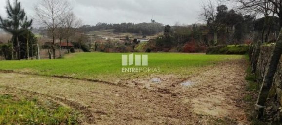 5200m² Land in Penafiel, Portugal No. 55022 5