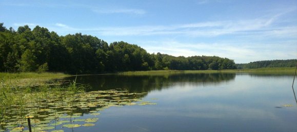 1 bedroom Apartment in Ostprignitz-Ruppin, Germany No. 350157 20