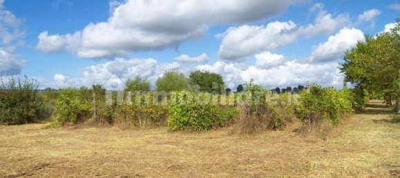 4 غرف نوم منزل في Montepulciano, Italy رقم 114304 5