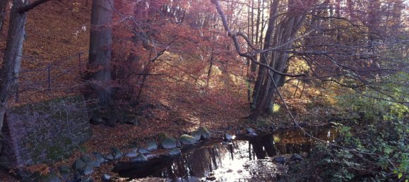 Casa T2 em Siegen-Wittgenstein, Germany N.º 219207 24