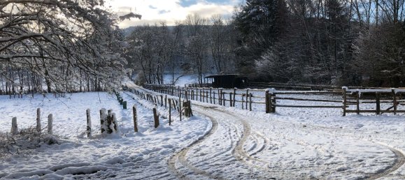 Casa T2 em Siegen-Wittgenstein, Germany N.º 219207 23