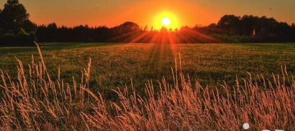 1243m² Land in Colmar, France No. 158072 2