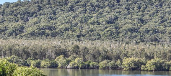 3 chambres Maison à Russell Island, Australia No. 1008 4