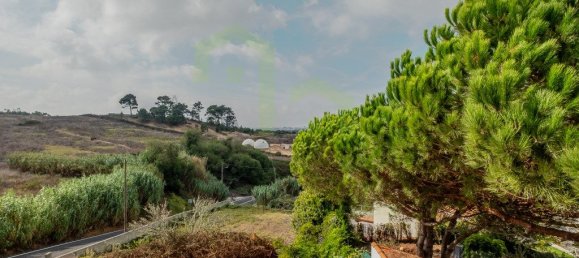 5 bedrooms House in Mafra, Portugal No. 130482 13