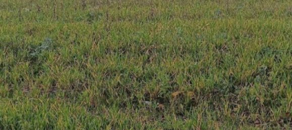 Земельный участок 865м² в Ваань, Франция № 216005 2