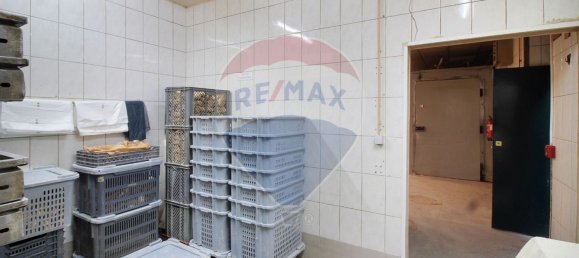 371m² Building in Matosinhos, Portugal No. 35226 2