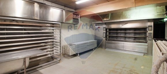 371m² Building in Matosinhos, Portugal No. 35226 3