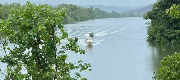 1 bedroom House in Daintree, Australia No. 697 5