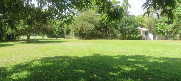 1 bedroom House in Daintree, Australia No. 697 16