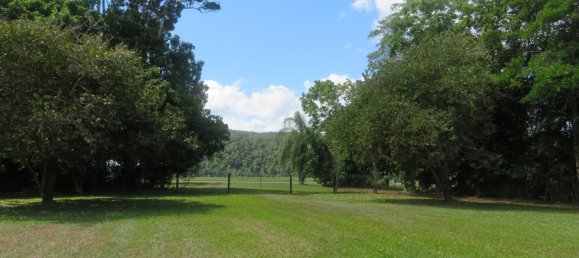 1 bedroom House in Daintree, Australia No. 697 17