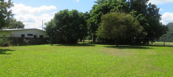 1 bedroom House in Daintree, Australia No. 697 11