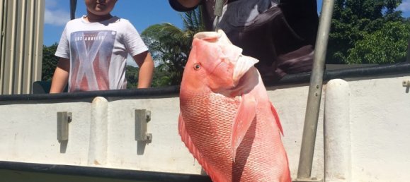 1 bedroom House in Daintree, Australia No. 697 23