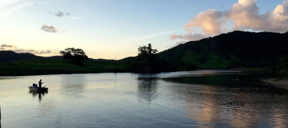 1 bedroom House in Daintree, Australia No. 697 24