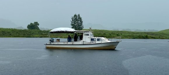 1 bedroom House in Daintree, Australia No. 697 2