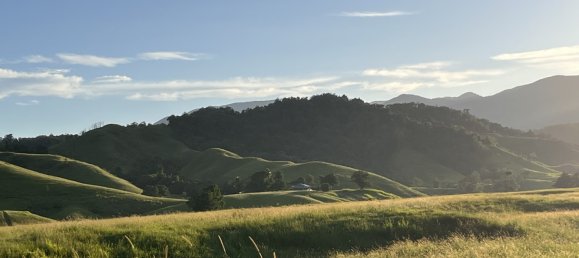 1 bedroom House in Daintree, Australia No. 697 21