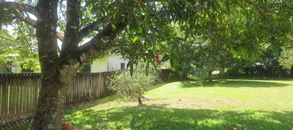 1 bedroom House in Daintree, Australia No. 697 12