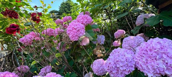 7-salle Villa à Nichelino, Italy No. 154765 49