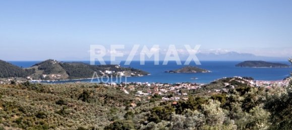 Terra em Skiathos, Greece 13922 m² N.º 737 10